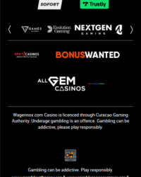 Wagerinox Casino Review Photo 6