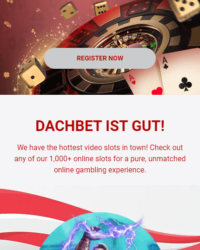 Dachbet Casino Review Photo 1