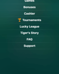 Lucky Tiger Casino Review Image 1