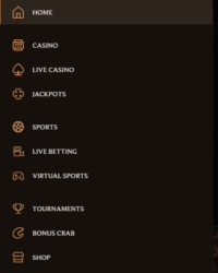 CrownPlay Casino Review Image 4