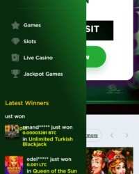 LuckyBud Casino Review Image 3